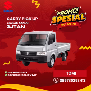 Carry Pick Up Tegal